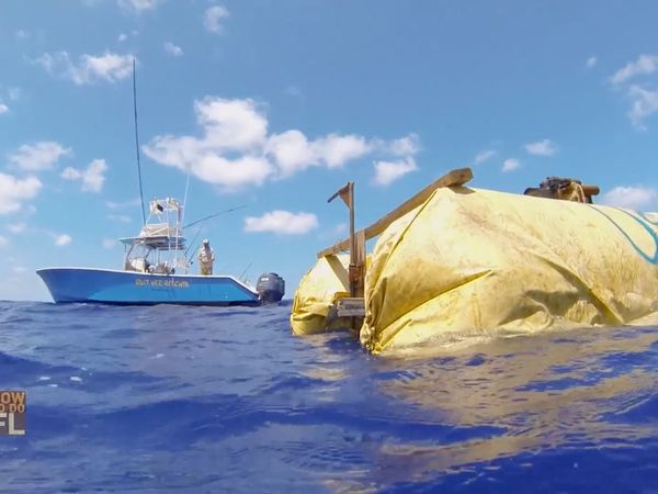How To Do Florida - Mahi Mahi And Florida Wines