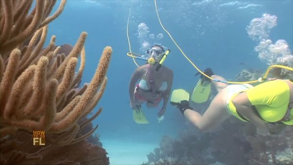 How To Do Florida - Florida Keys/Spiny Lobster