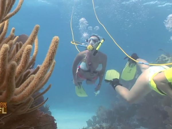 How To Do Florida - Florida Keys/Spiny Lobster
