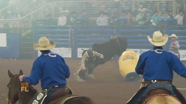How To Do Florida - Florida Rodeo