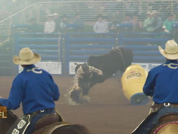 How To Do Florida - Florida Rodeo