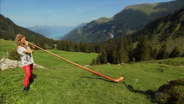Die Alpen von oben - Vom Oberland zum Waadtland