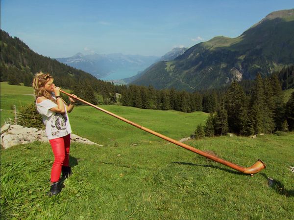 Die Alpen von oben - Vom Oberland zum Waadtland