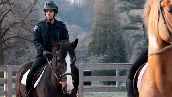 Rookie Blue LT - Hermandad