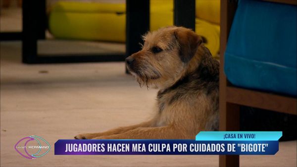Gran Hermano Chile LT - Episodio 26