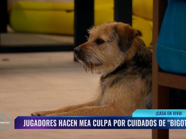 Gran Hermano Chile LT - Episodio 26