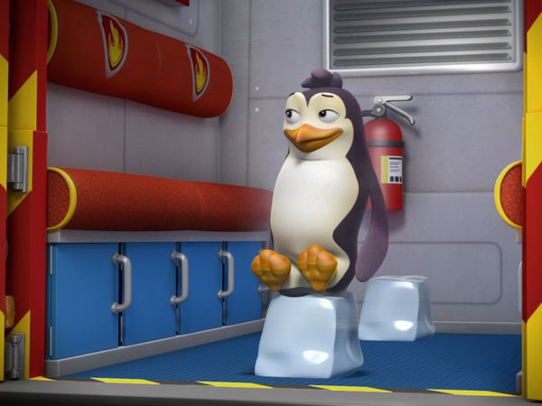 Patrulha Canina - Os filhotes salvam François / Os filhotes resgatam os pinguins