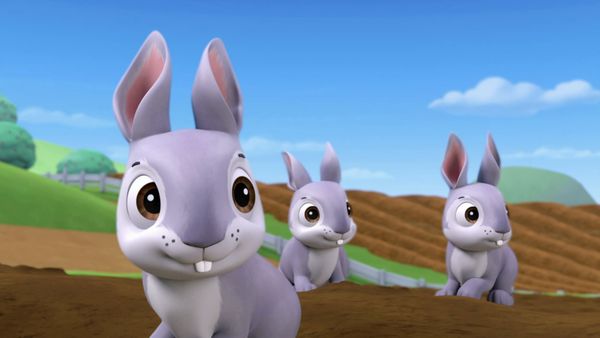 Patrulha Canina - Os filhotes salvam os coelhos / O show de filhotes