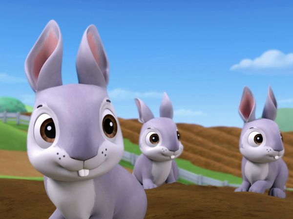 Patrulha Canina - Os filhotes salvam os coelhos / O show de filhotes