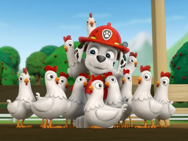Patrulha Canina - Os filhotes salvam o circo / O resgate da Galinheta