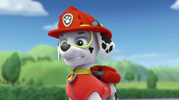 Patrulha Canina - Os filhotes e a equipe mecânica  / O recorde do filhote bombeiro