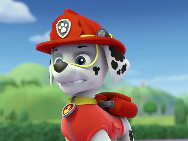 Patrulha Canina - Os filhotes e a equipe mecânica  / O recorde do filhote bombeiro