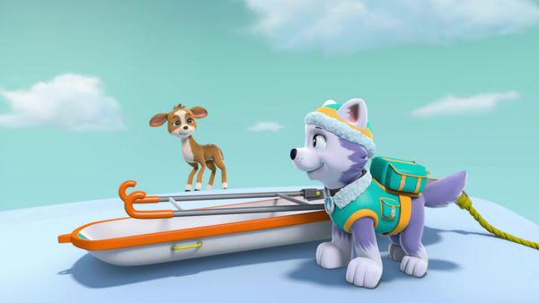 Patrulha Canina - Os filhotes deixam a Marshall sozinha / Os filhotes salvam os cervos