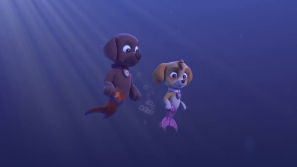 Patrulha Canina - Os filhotes salvam uma filhote sereia