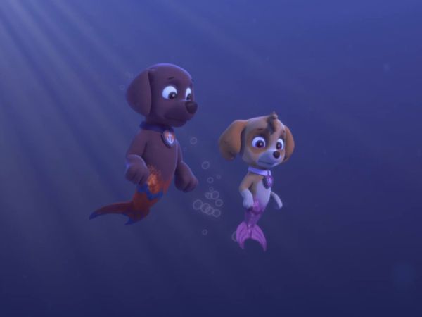 Patrulha Canina - Os filhotes salvam uma filhote sereia