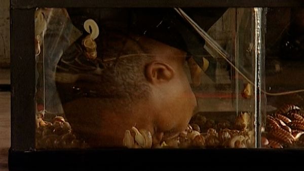 Fear Factor South Africa - Episode 12