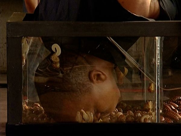 Fear Factor South Africa - Episode 12
