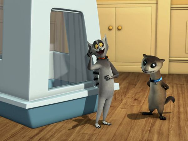 Os Pinguins de Madagascar - Fervor felino / Ação e reação