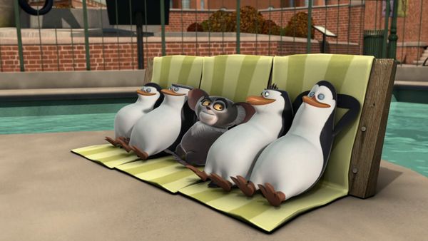 Os Pinguins de Madagascar - Galinha mentalista / Febre do polegar