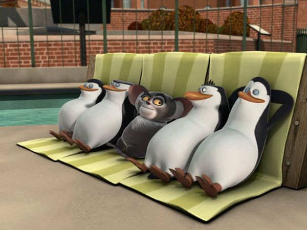 Os Pinguins de Madagascar - Galinha mentalista / Febre do polegar