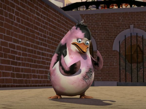 Os Pinguins de Madagascar - Um peixão para o Capitão / Mudança de penas