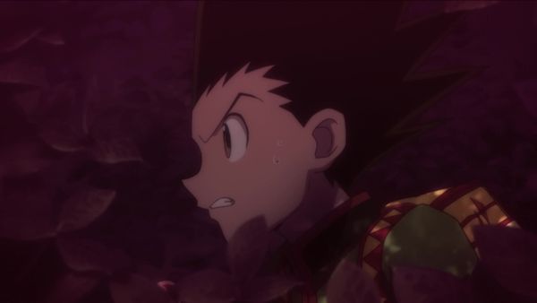 Hunter x Hunter - Um Festival x de x Enganação