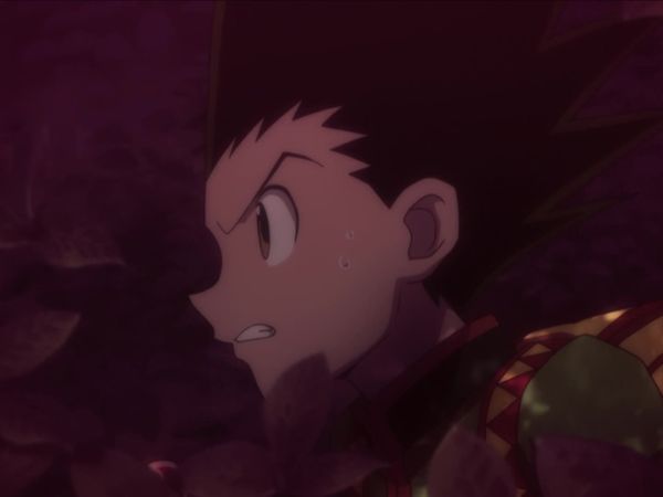 Hunter x Hunter - Um Festival x de x Enganação