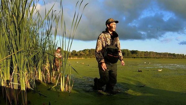 Wardens - Teal and Turkeys