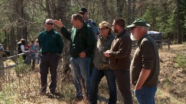 Wardens - Firearm Deer and Michigan Sturgeon