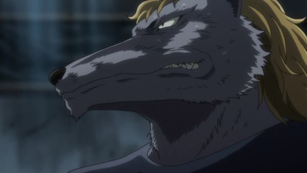 Hunter x Hunter LT - Deber x Y x Pregunta