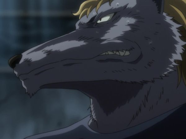 Hunter x Hunter LT - Deber x Y x Pregunta