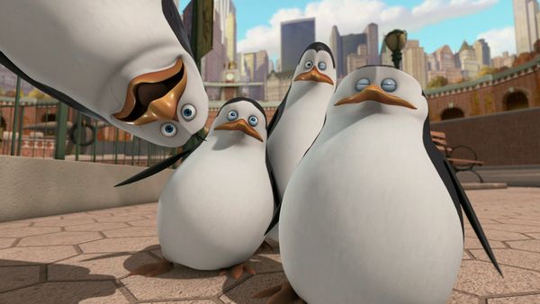 The Penguins of Madagascar LT - Mascotas / Miniproblemas