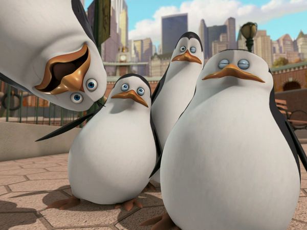 The Penguins of Madagascar LT - Mascotas / Miniproblemas