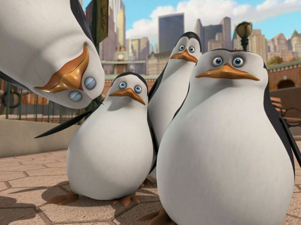 Os Pinguins de Madagascar - Bichinhos de estimação / Micro-bytes
