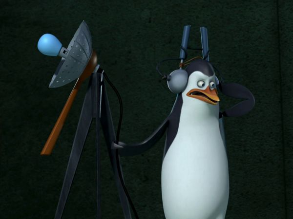 Os Pinguins de Madagascar - A infestação / Excursão maluca