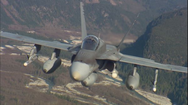 Combat Forces - Fighter Pilots