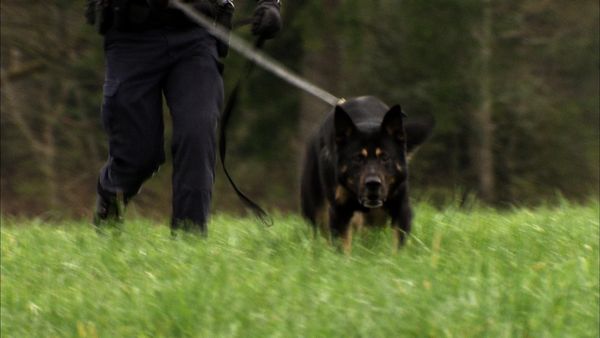 Courage in Red - K9 (Police Dog Services)