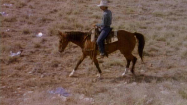 Ungelöste Geheimnisse: Original Robert Stack-Folgen - Folge 1