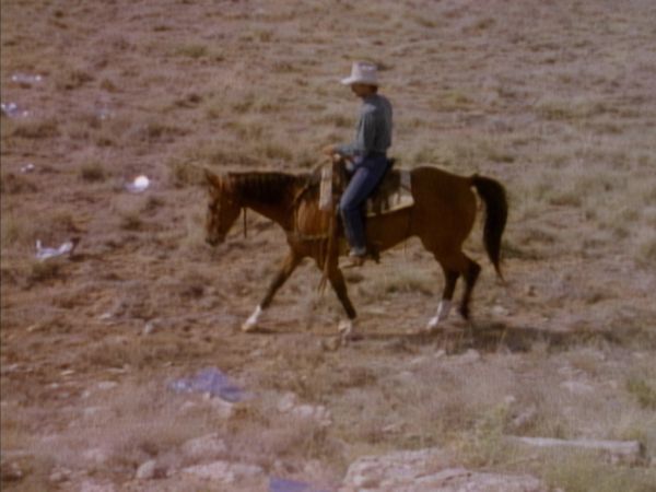 Ungelöste Geheimnisse: Original Robert Stack-Folgen - Folge 1