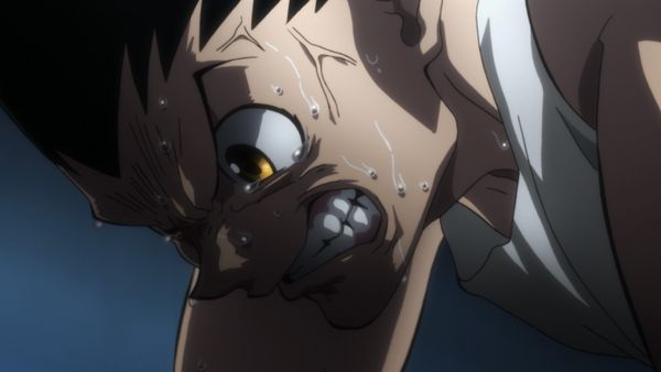Hunter x Hunter - Vingança x e x Recuperação