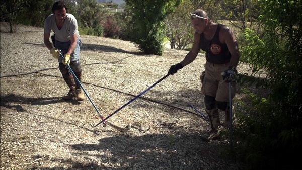 Richard Hammond's Crash Course - Animal Sanctuary/Snake Wrangler