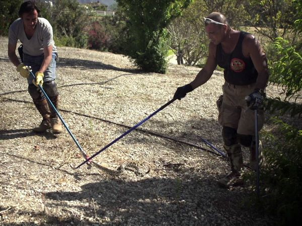 Richard Hammond's Crash Course - Animal Sanctuary/Snake Wrangler