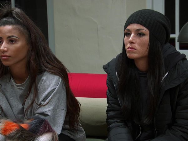 The Challenge - Lavender Is the New Black