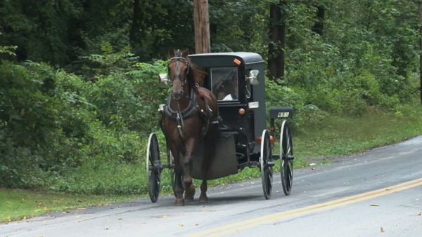 Targeted For Murder - The Sins Of The Amish