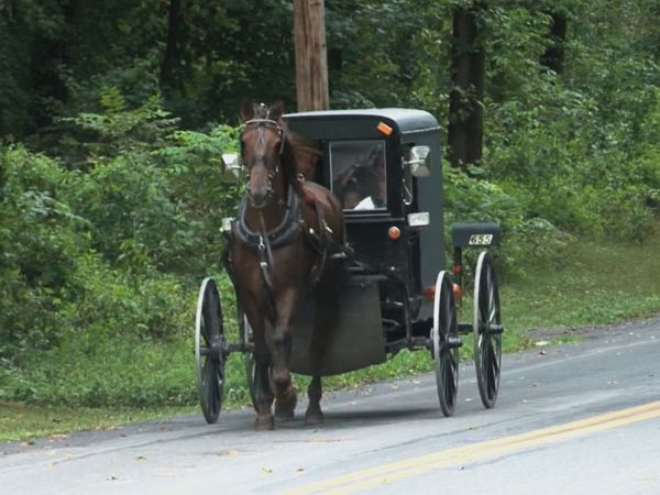 Targeted For Murder - The Sins Of The Amish