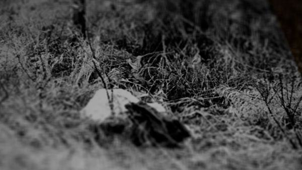Almost Unsolved - Abandoned