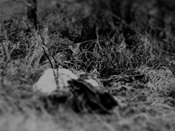 Almost Unsolved - Abandoned