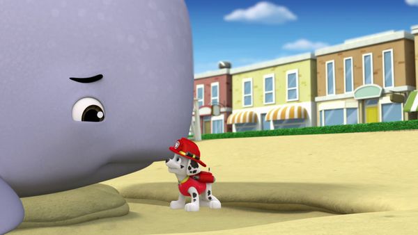 PAW Patrol LT - Salvemos a las tortugas / Un enorme bebé