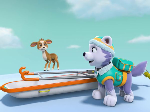 PAW Patrol LT - Marshall cuida el Cuartel Cachorro / Rescatando a los ciervos