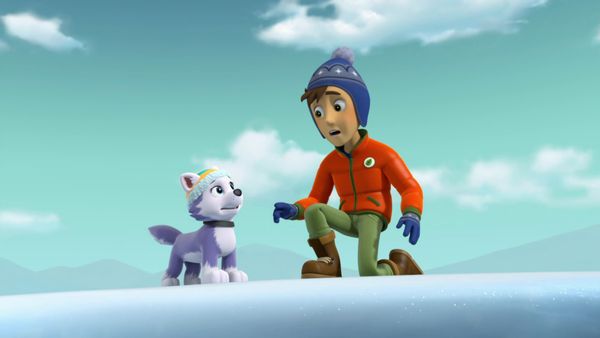 PAW Patrol LT - El nuevo cachorro
